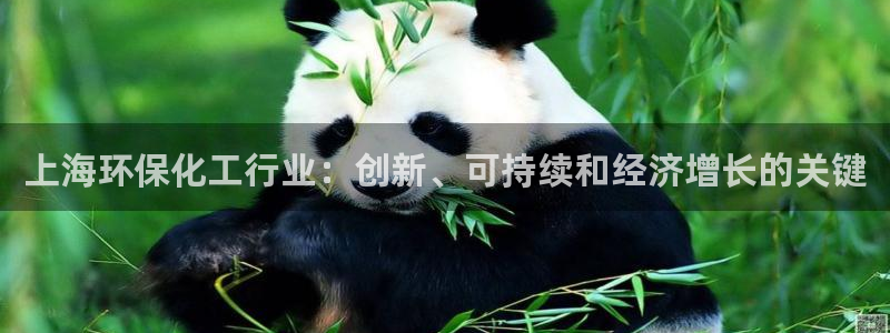 亿万先生手机版入口在哪：上海环保化工行业：创新、可持续和经济增长的关键