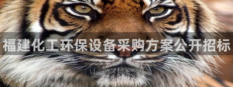 亿万先生mr网址