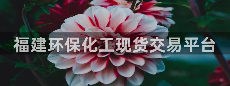 亿万同人字幕组的个人主页