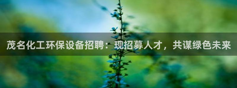 亿万先生换网址了吗知乎：茂名化工环保设备招聘：现招募人才，共谋绿色未来