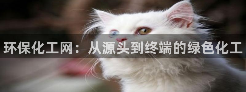 亿万小说免费阅读全文：环保化工网：从源头到终端的绿色化工
