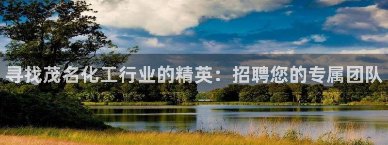 亿万先生手机版入口在哪下载：寻找茂名化工行业的精英：招聘您的专属团队