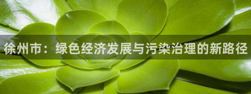 亿万贴吧：徐州市：绿色经济发展与污染治理的新路径