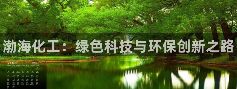 亿万乐购生活超市：渤海化工：绿色科技与环保创新之路