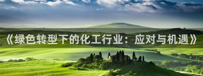 亿万网友在线实时为您解答：《绿色转型下的化工行业：应对与机遇》