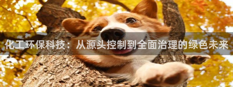 亿万同人字幕分享jogoduplo：化工环保科技：从源头控制到全面治理的绿色未来