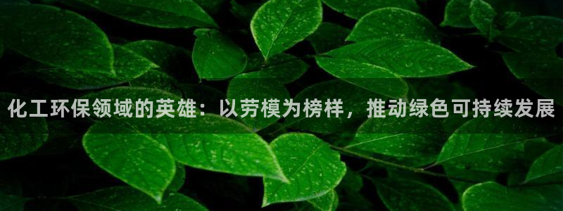 亿万先生现在的网址谁知道是真的：化工环保领域的英雄：以劳模为榜样，推动绿色可持续发展