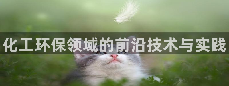 亿万先生客户端官网：化工环保领域的前沿技术与实践
