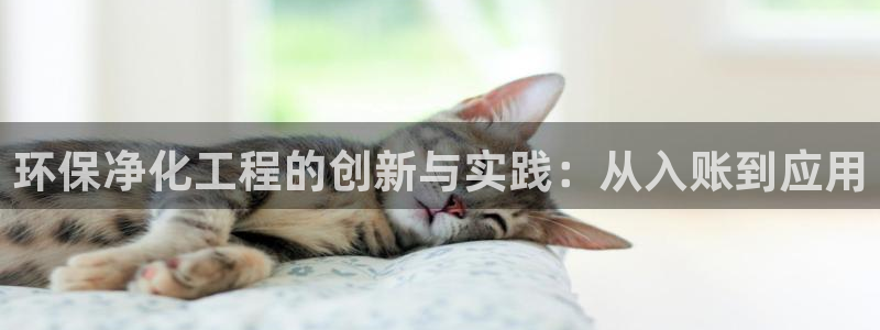 亿万客户端：环保净化工程的创新与实践：从入账到应用
