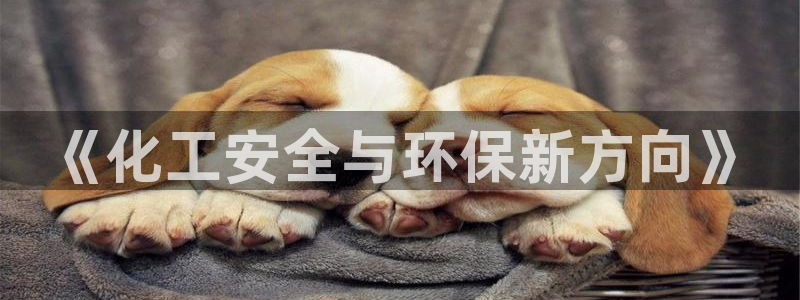 亿万28下载地址：《化工安全与环保新方向》