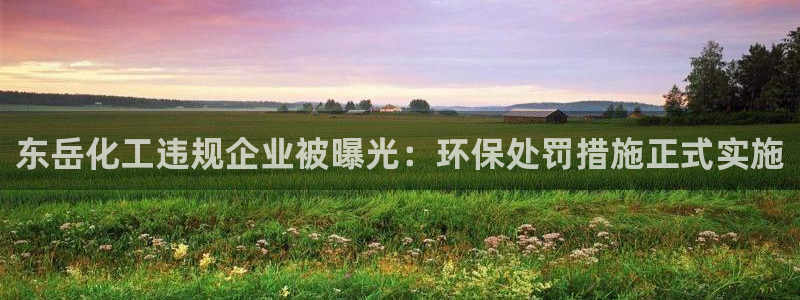 亿万先生客户端官网登录不了：东岳化工违规企业被曝光：环保处罚措施正式实施