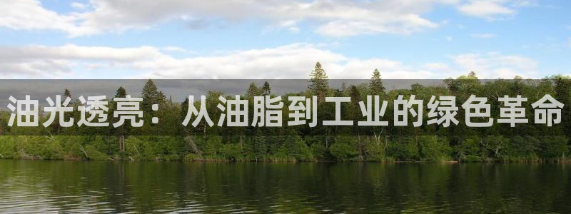 亿万下载：油光透亮：从油脂到工业的绿色革命