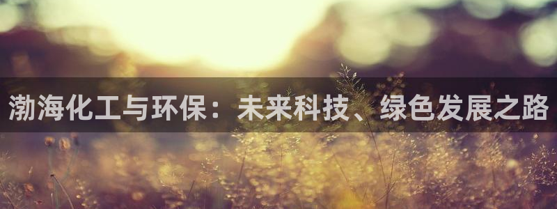 亿万网友在线实时为您解答问题：渤海化工与环保：未来科技、绿色发展之路