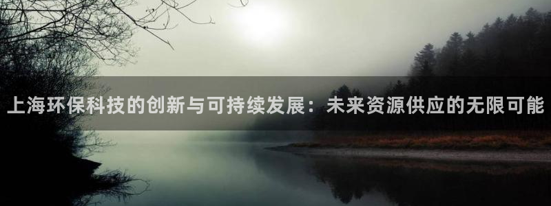 亿万先生合并：上海环保科技的创新与可持续发展：未来资源供应的无限可能