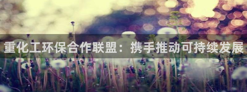 mr003亿万先生：重化工环保合作联盟：携手推动可持续发展