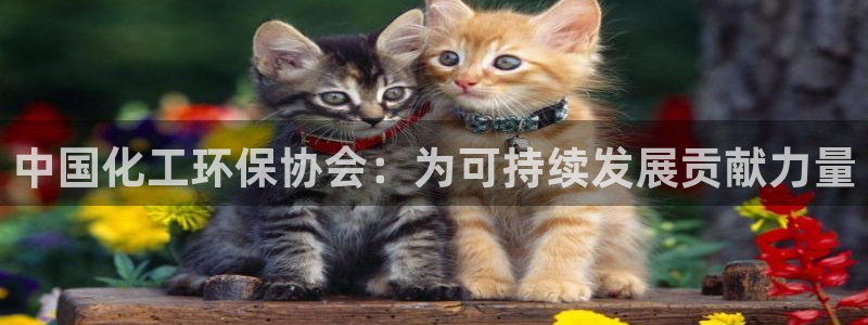 亿万先生客户端官网下载：中国化工环保协会：为可持续发展贡献力量