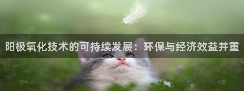 亿万先生：阳极氧化技术的可持续发展：环保与经济效益并重