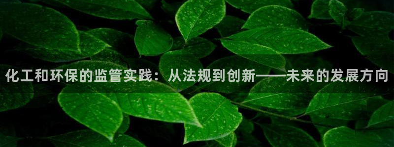 亿万下载徐家汇朋友圈说说：化工和环保的监管实践：从法规到创新——未来的发展方向