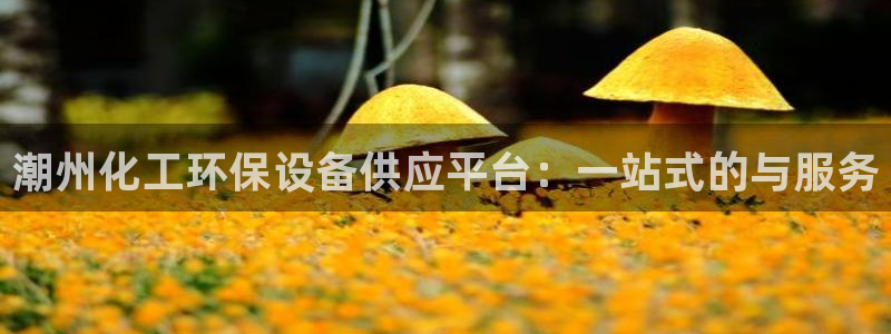 亿万先生客户端官网下载：潮州化工环保设备供应平台：一站式的与服务