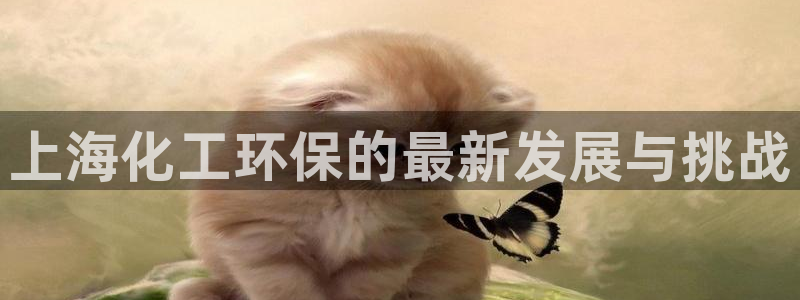 亿万先生官方网站首页：上海化工环保的最新发展与挑战
