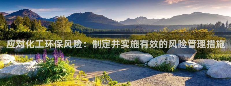 亿万首富手游：应对化工环保风险：制定并实施有效的风险管理措施