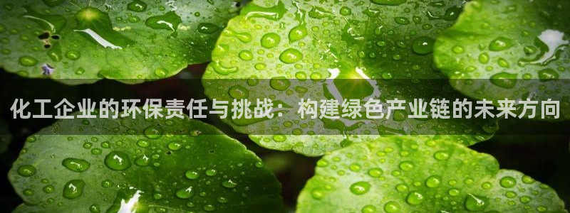 亿万先生换网址了吗知乎：化工企业的环保责任与挑战：构建绿色产业链的未来方向