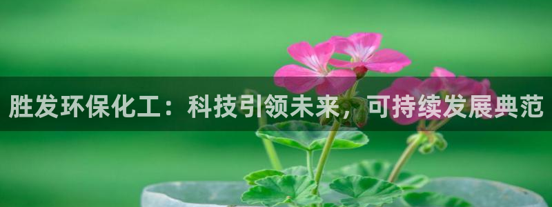 亿万先生游戏：胜发环保化工：科技引领未来，可持续发展典范