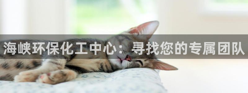亿万百度贴吧：海峡环保化工中心：寻找您的专属团队