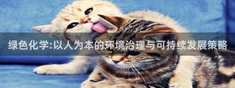 亿万先生客户端怎么下载：绿色化学:以人为本的环境治理与可持续发展策略
