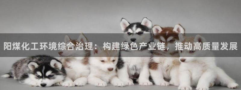 亿万网络科技有限公司ceo：阳煤化工环境综合治理：构建绿色产业链，推动高质量发展