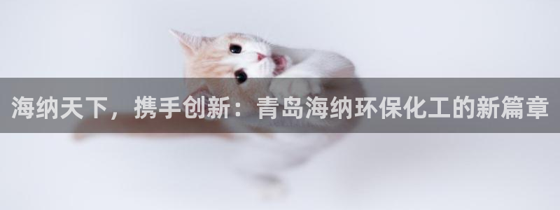 亿万先生007网页登录：海纳天下，携手创新：青岛海纳环保化工的新篇章