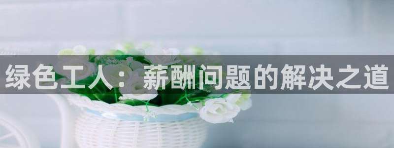 亿万先生客户端官网登录不上：绿色工人：薪酬问题的解决之道