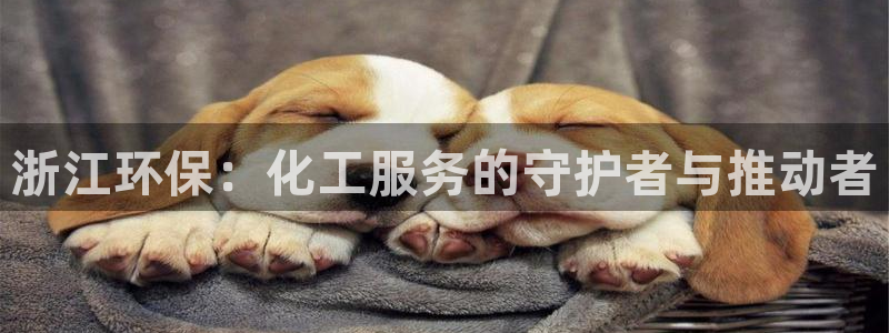 mr003亿万先生：浙江环保：化工服务的守护者与推动者