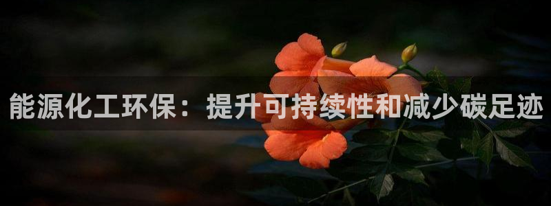亿万先生官方网站客户端下载安装最新版：能源化工环保：提升可持续性和减少碳足迹