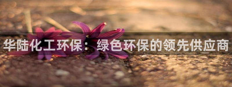亿万先生m007：华陆化工环保：绿色环保的领先供应商