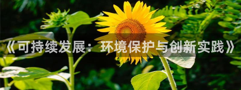 亿万先生官方客服：《可持续发展：环境保护与创新实践》