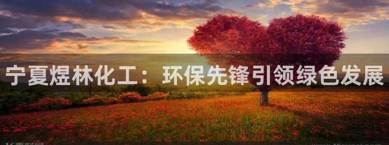 亿万下载：宁夏煜林化工：环保先锋引领绿色发展