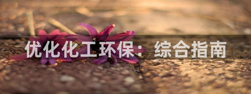 亿万先生现在的网址谁知道：优化化工环保：综合指南