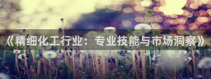 亿万千百十：《精细化工行业：专业技能与市场洞察》