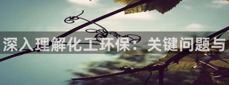 亿万第一季解说：深入理解化工环保：关键问题与