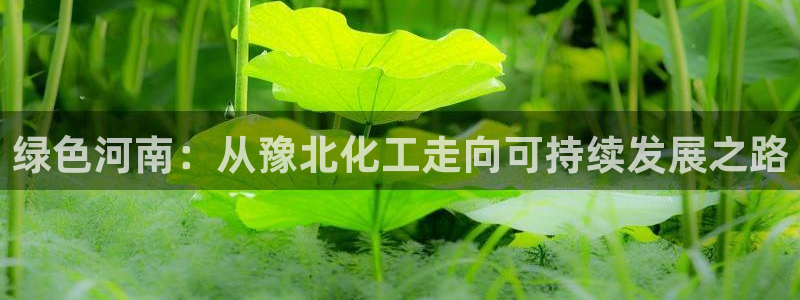 亿万先生网址生：绿色河南：从豫北化工走向可持续发展之路