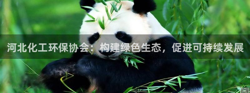 亿万剧情详解：河北化工环保协会：构建绿色生态，促进可持续发展