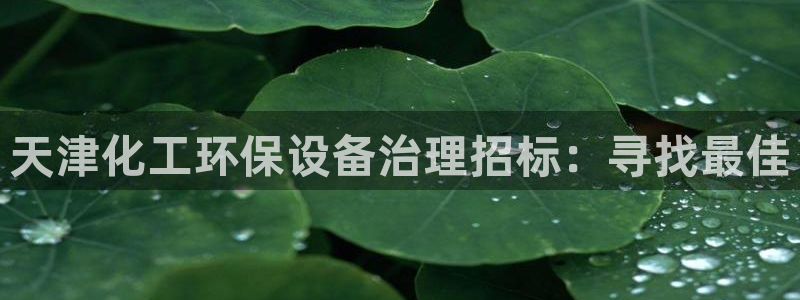 亿万先生手机版入口在哪看：天津化工环保设备治理招标：寻找最佳