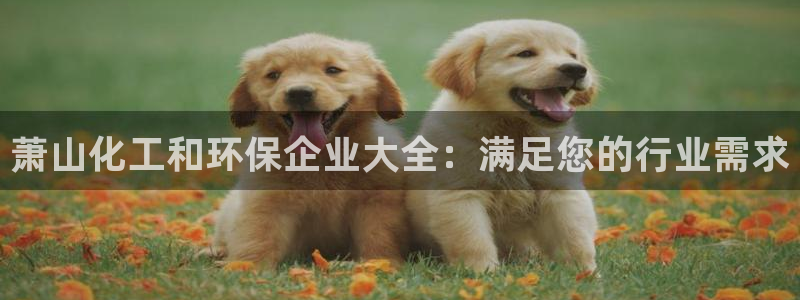 亿万 在线：萧山化工和环保企业大全：满足您的行业需求