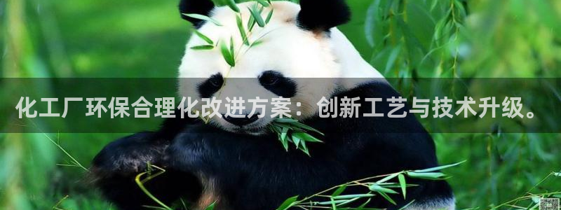 亿万先生手机网：化工厂环保合理化改进方案：创新工艺与技术升级。