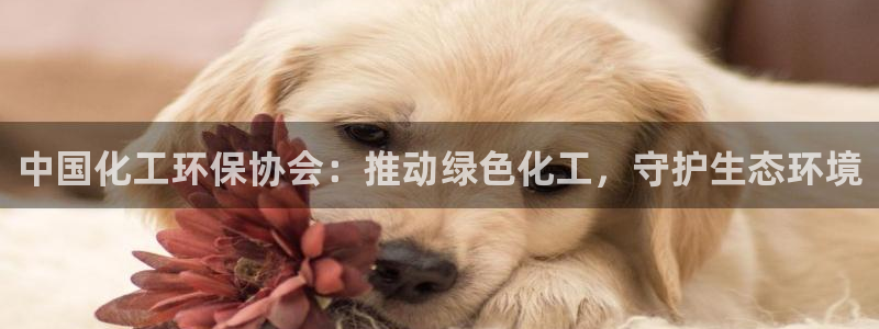 亿万国际：中国化工环保协会：推动绿色化工，守护生态环境