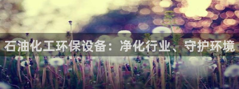 亿万先生 菲律宾：石油化工环保设备：净化行业、守护环境