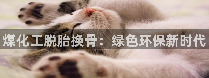 亿万先生客服：煤化工脱胎换骨：绿色环保新时代