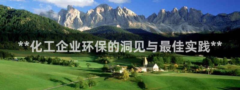 亿万先生情侣车有什么用：**化工企业环保的洞见与最佳实践**