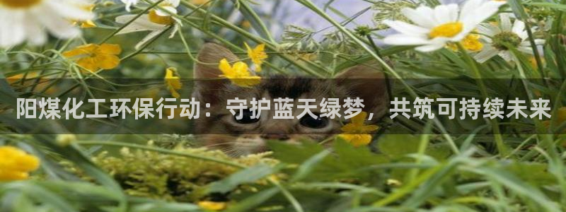 亿万千百十：阳煤化工环保行动：守护蓝天绿梦，共筑可持续未来